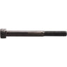 Dial 911 Standard Wheel Bolt Scooter - 