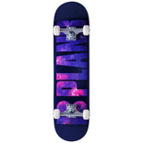 Plan B Team Komplet Skateboard - Sacred G-ScootWorld.dk